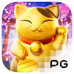 ticketsmofo: Lucky Neko
