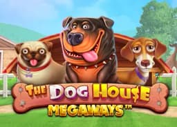 ticketsmofo: The Dog House Megaways